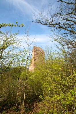 La nature à l'attaque de la forteresse_4567727689_l.jpg